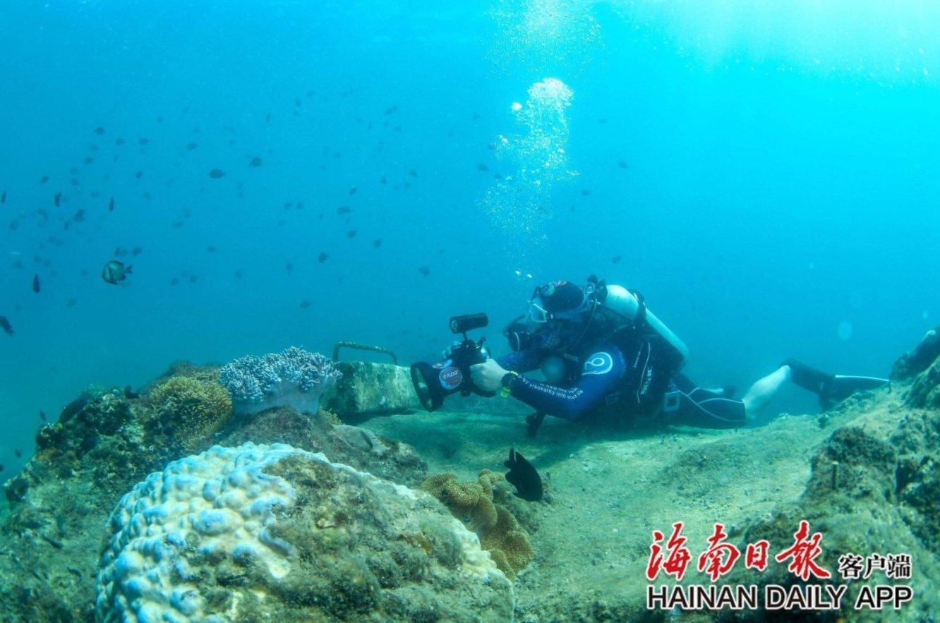 救援受困的萌兔